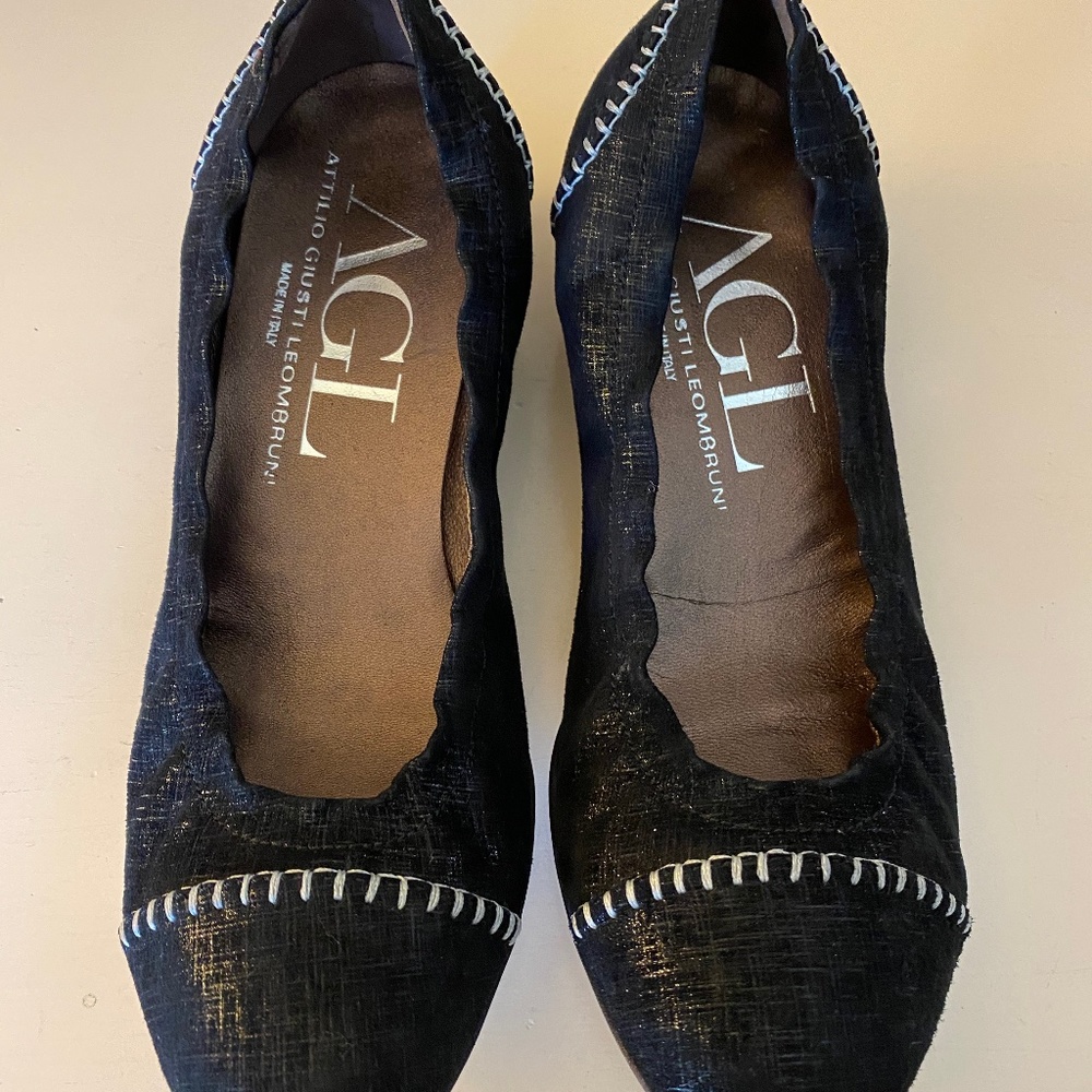 AGL Attilio Giusti Leombruni Wedge Pump